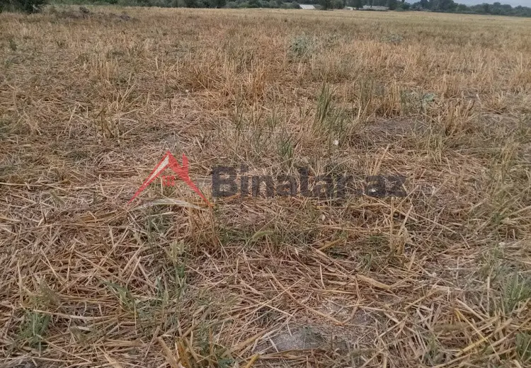 0 sot Torpaq Satılır, Quba