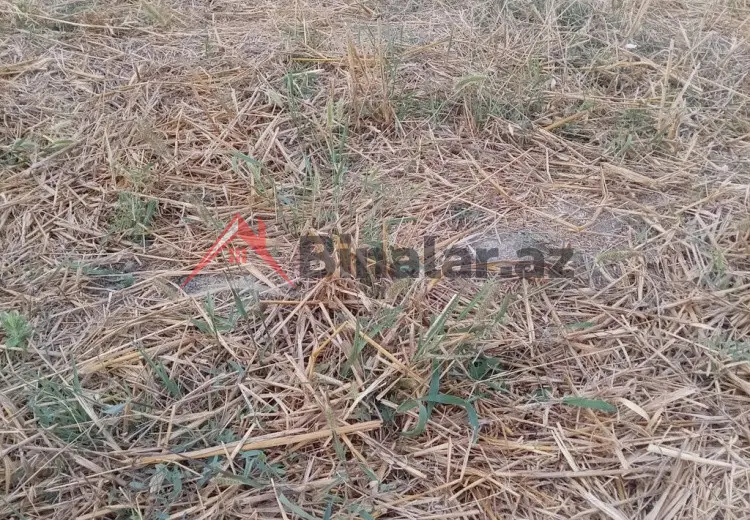 0 sot Torpaq Satılır, Quba