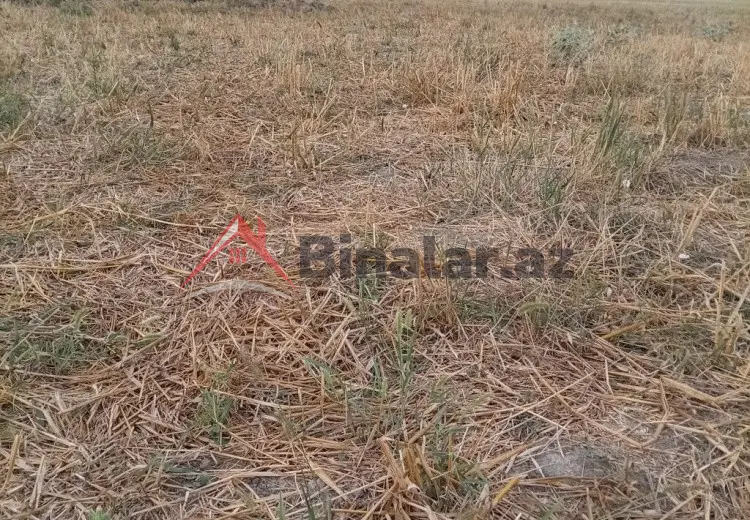 0 sot Torpaq Satılır, Quba
