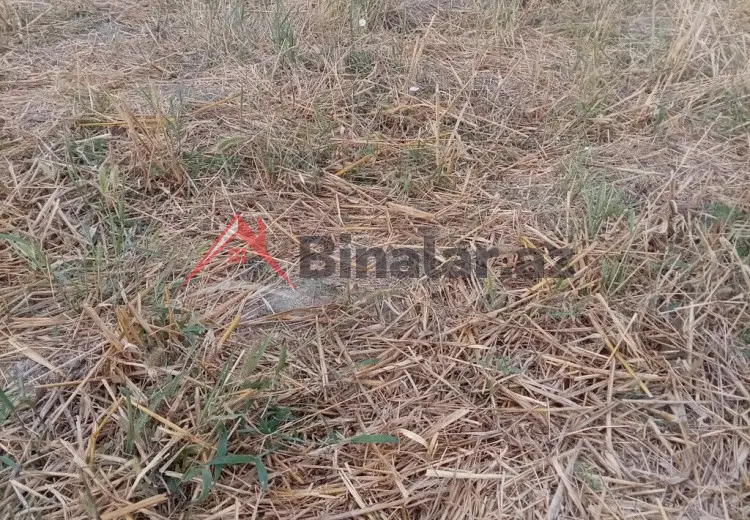 0 sot Torpaq Satılır, Quba