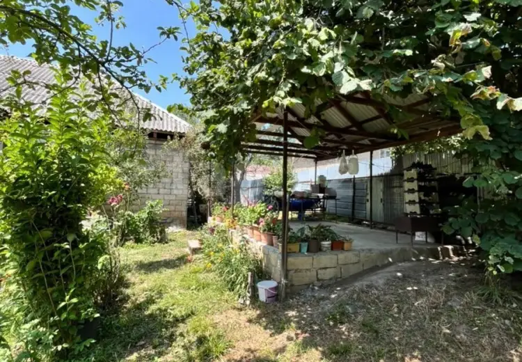 2 otaqlı mənzil , Qəbələ