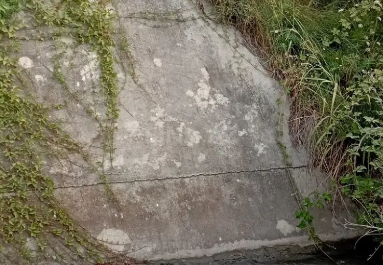 120 sot Torpaq Satılır, Xudat