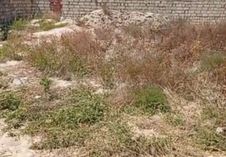 5 sot Torpaq Satılır, Nardaran qəs., Sabunçu, Bakı