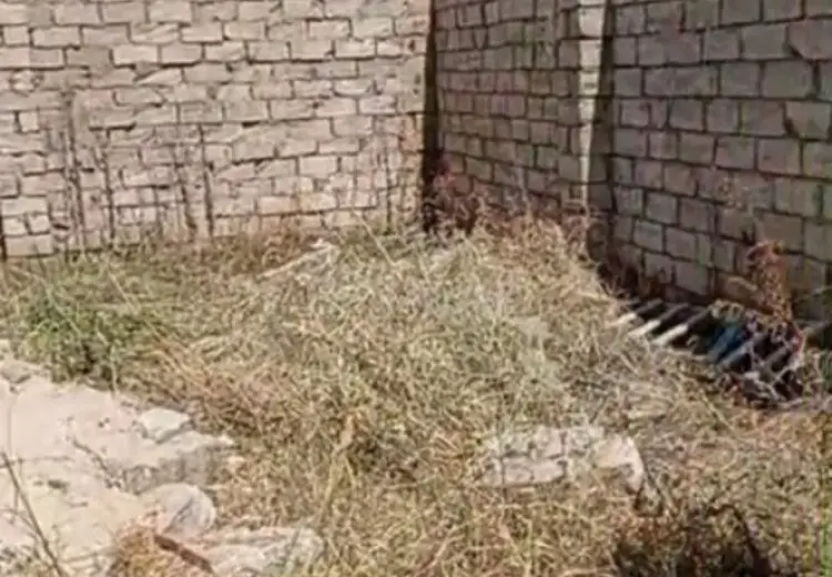 5 sot Torpaq Satılır, Nardaran qəs., Sabunçu, Bakı