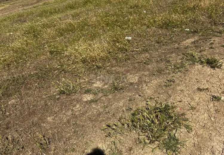 10 sot Torpaq Satılır, Güzdək, Abşeron