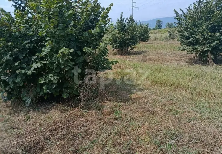 0 m² Obyekt / Ofis , Oğuz
