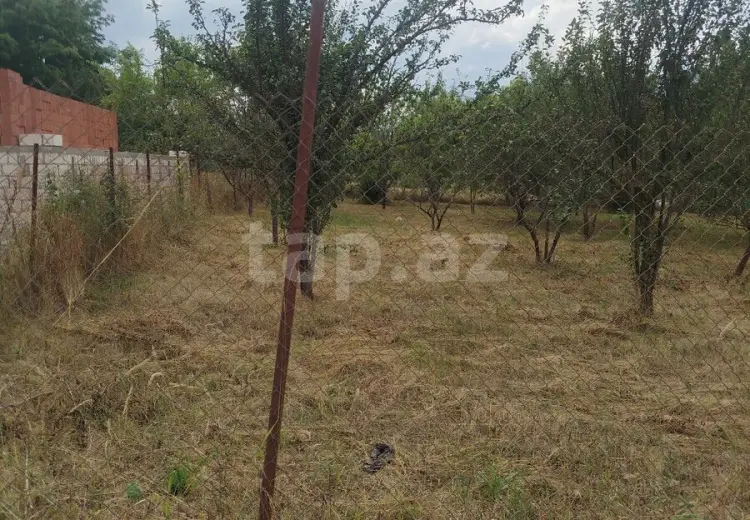 0 m² Obyekt / Ofis , Qusar