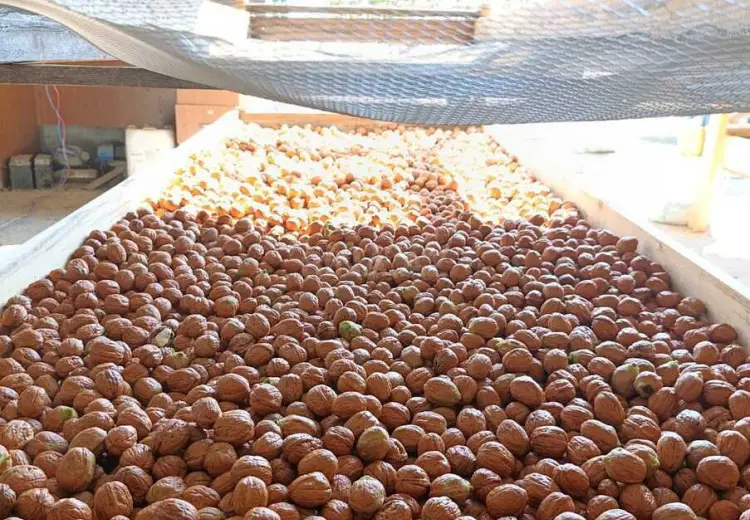 2300 sot Torpaq Satılır, İsmayıllı
