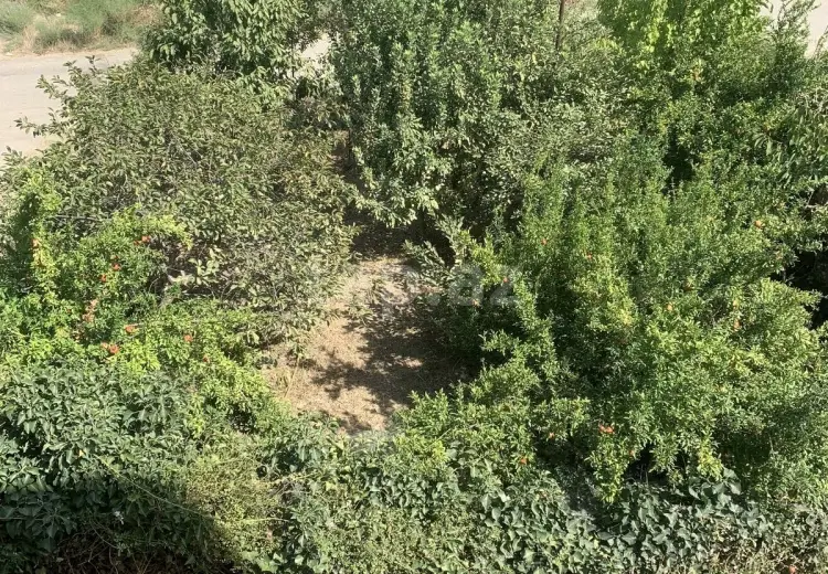 3 otaqlı mənzil , Şirvan