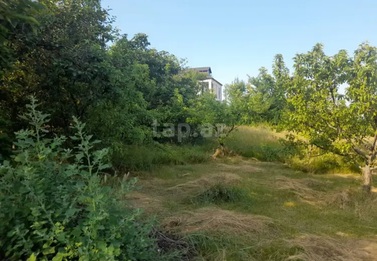 0 m² Obyekt / Ofis , Quba