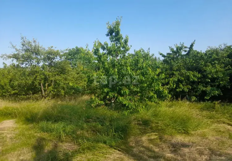 0 m² Obyekt / Ofis , Quba