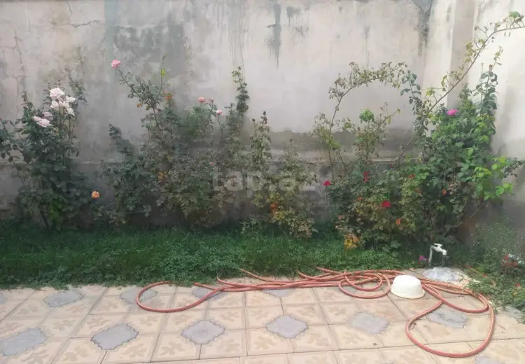 0 m² Obyekt / Ofis , Masazır, Abşeron
