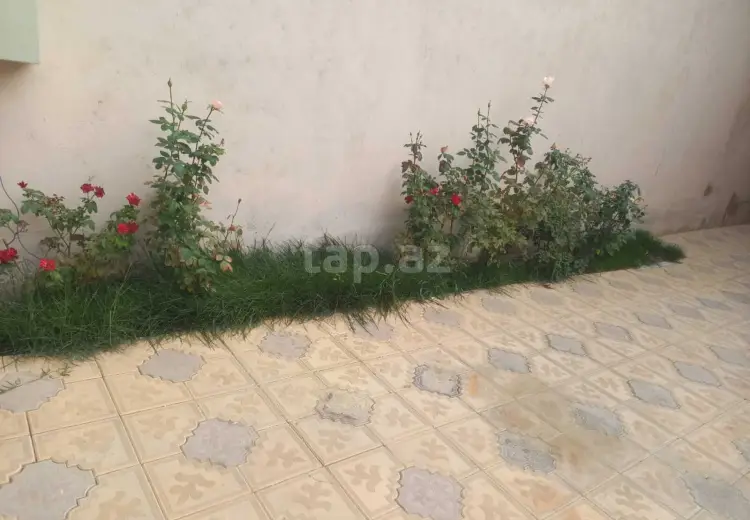 0 m² Obyekt / Ofis , Masazır, Abşeron