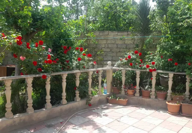 6 otaqlı mənzil , Sumqayıt