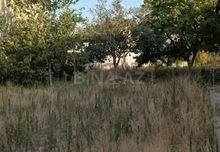 23 sot Torpaq Satılır, Novxanı, Abşeron