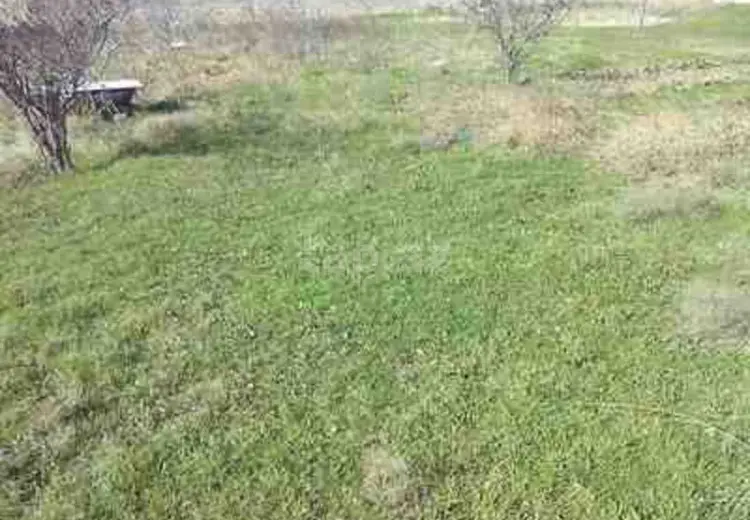 0 m² Obyekt / Ofis , Saray, Abşeron