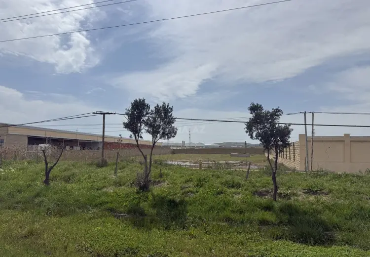 255 sot Torpaq Satılır, Hökməli, Abşeron