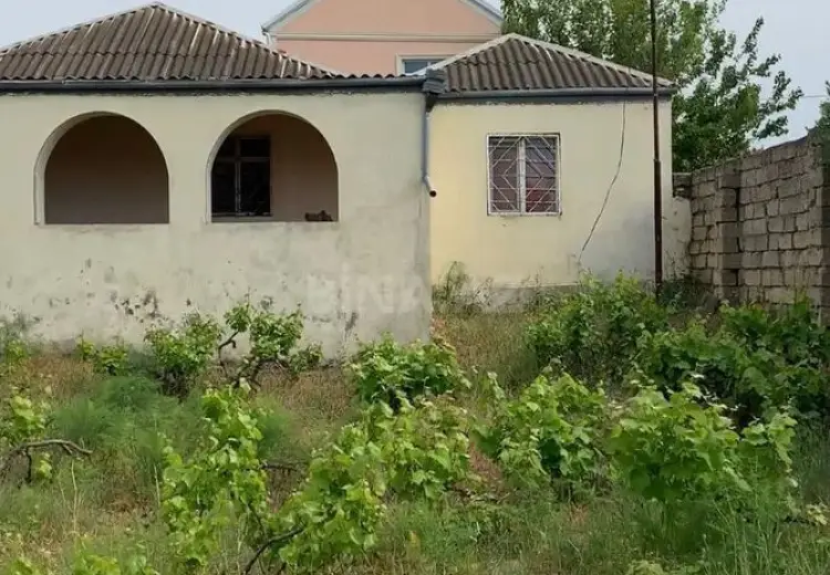 11 sot Torpaq Satılır, Pirşağı qəs., Sabunçu, Bakı
