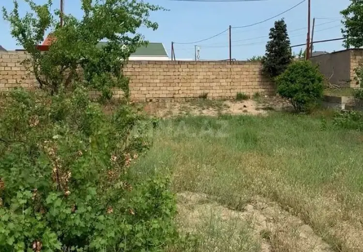 11 sot Torpaq Satılır, Pirşağı qəs., Sabunçu, Bakı