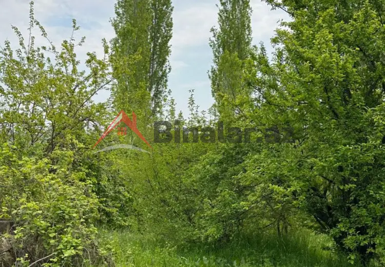 32 sot Torpaq Satılır, Gəncə