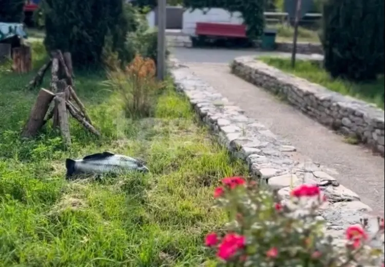 0 m² Obyekt / Ofis , Şamaxı