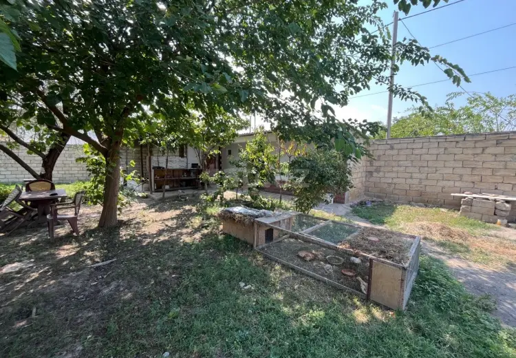 3 otaqlı mənzil , Salyan