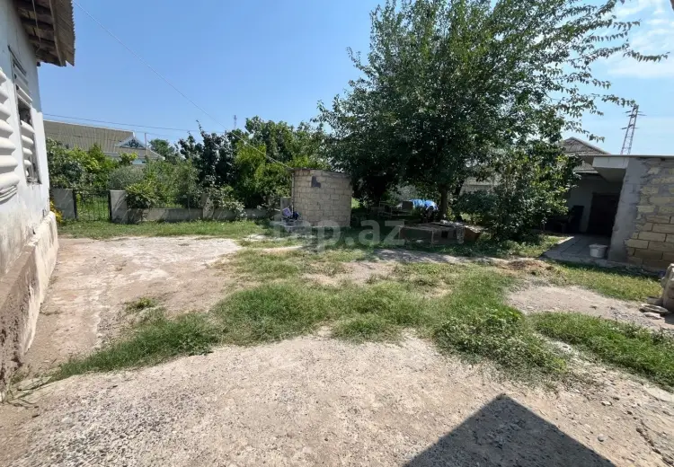 3 otaqlı mənzil , Salyan