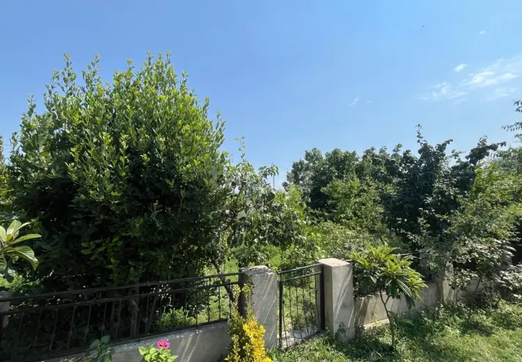 3 otaqlı mənzil , Salyan