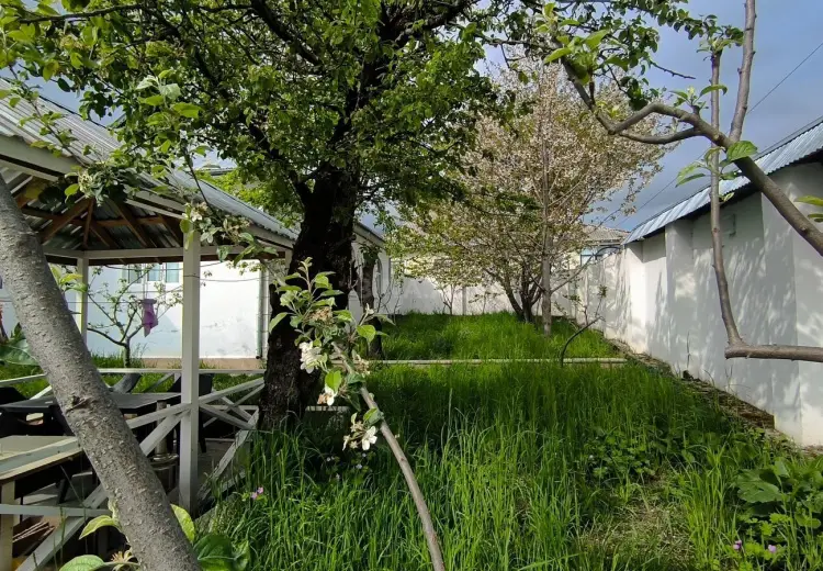 2 otaqlı mənzil Satılır, Qəbələ