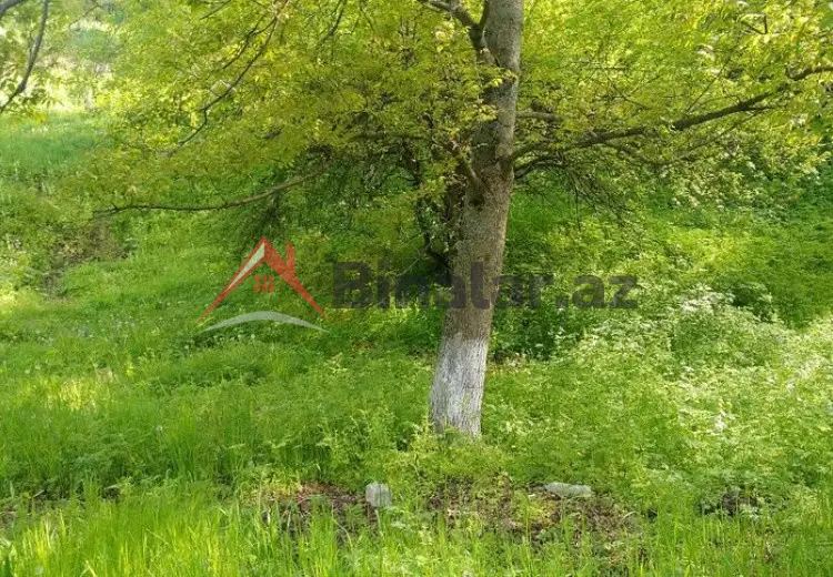 0 sot Torpaq Satılır, Gəncə