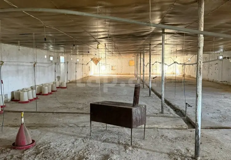0 m² Obyekt / Ofis , Siyəzən