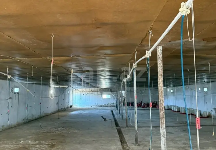 0 m² Obyekt / Ofis , Siyəzən