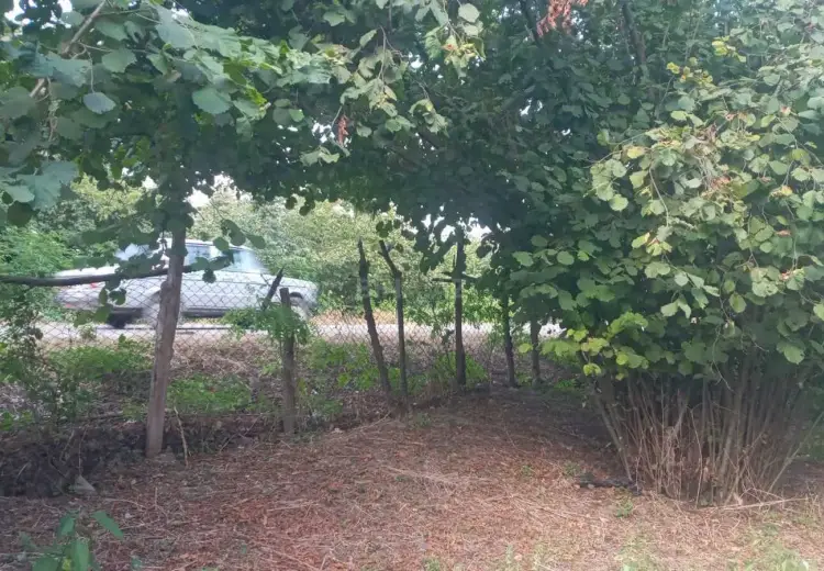 16 sot Torpaq Satılır, Qəbələ