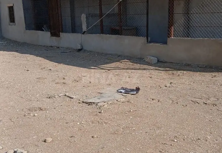 5 sot Torpaq Satılır, Türkan, Xəzər, Bakı