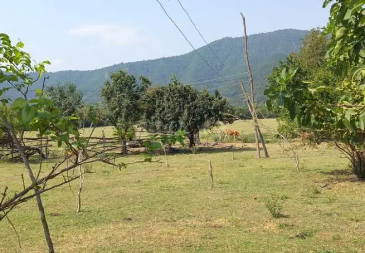 1500 sot Torpaq Satılır, Balakən