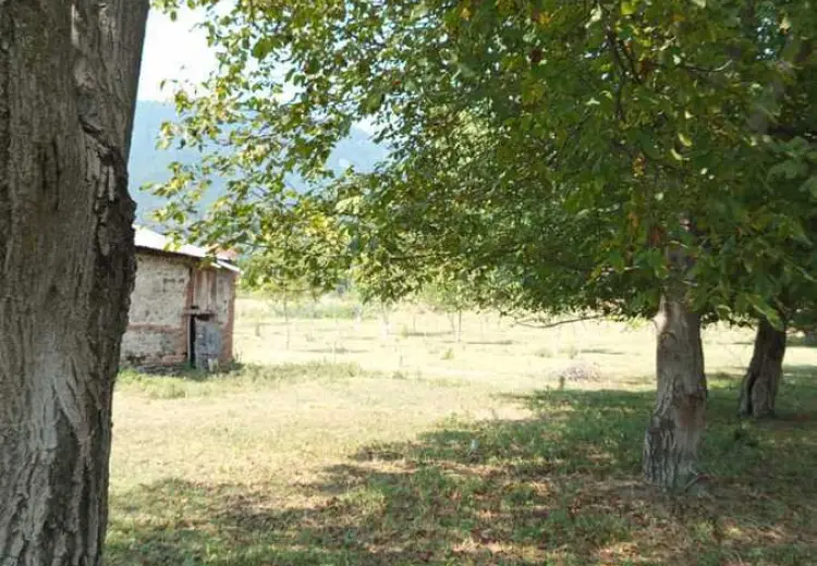 1500 sot Torpaq Satılır, Balakən