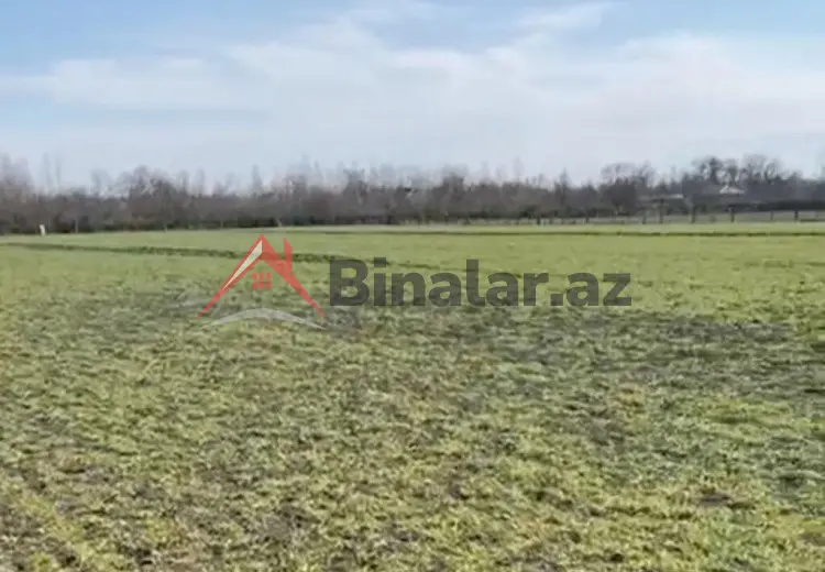 500 sot Torpaq Satılır, Qəbələ