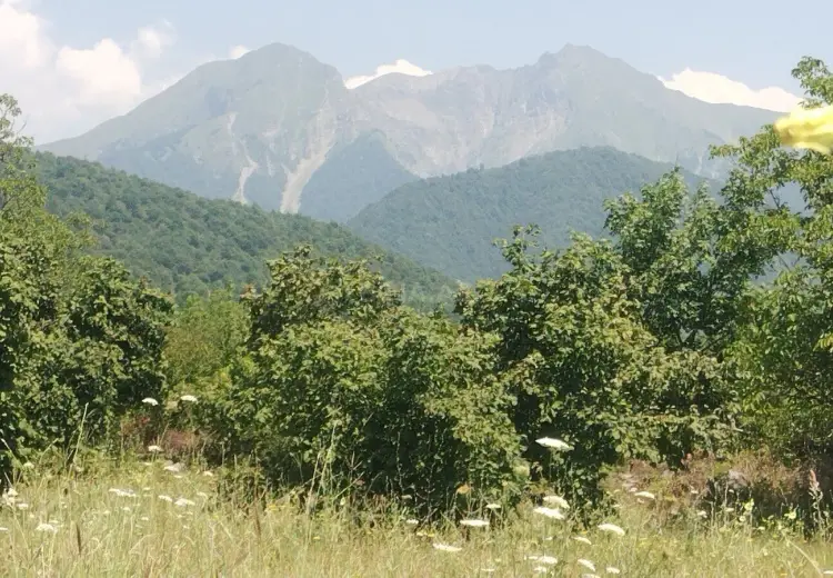 66 sot Torpaq Satılır, Qəbələ