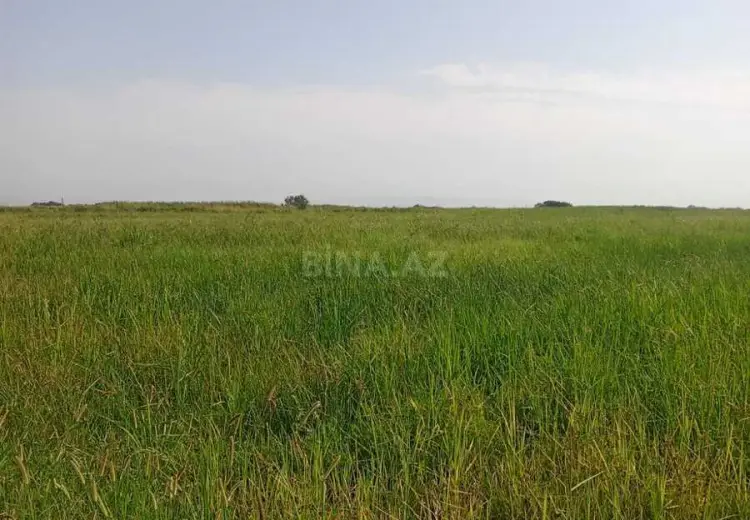 4200 sot Torpaq Satılır, Ağdaş