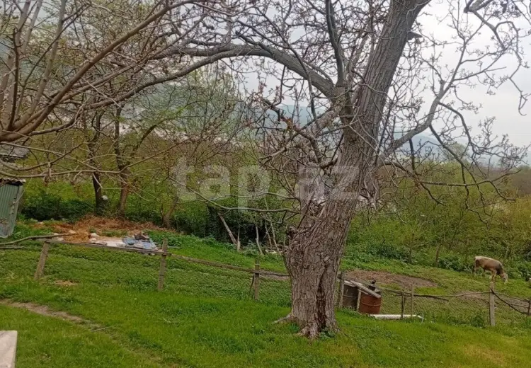 4 otaqlı mənzil , Şamaxı