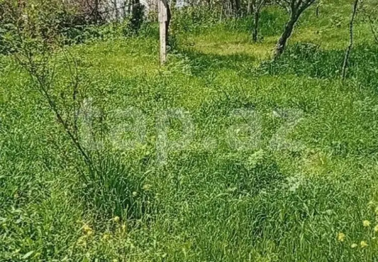 4 otaqlı mənzil , Şamaxı