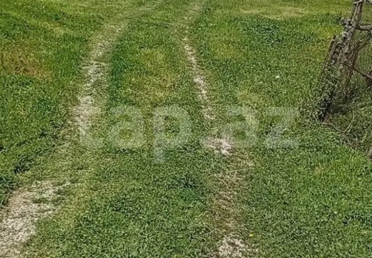 4 otaqlı mənzil , Şamaxı