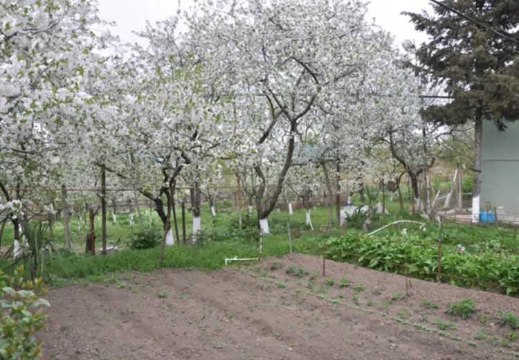 6 otaqlı mənzil Satılır, Şamaxı