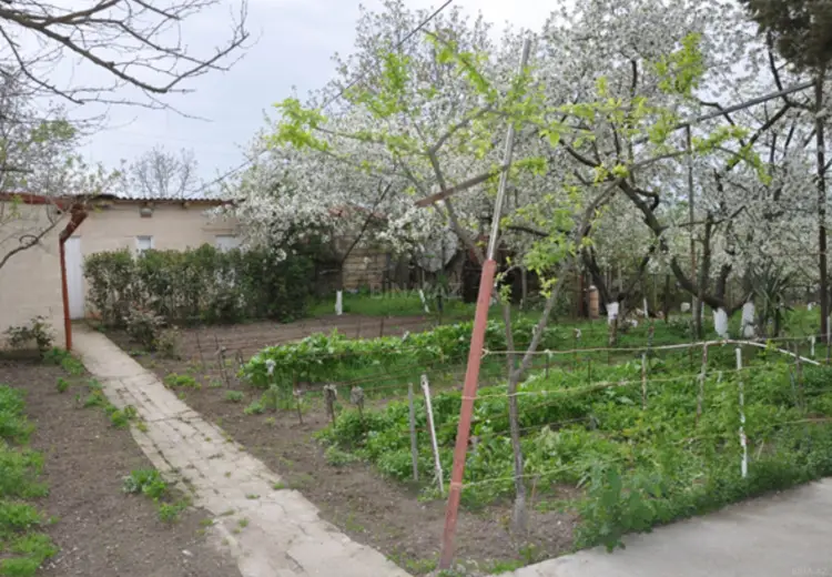 6 otaqlı mənzil Satılır, Şamaxı
