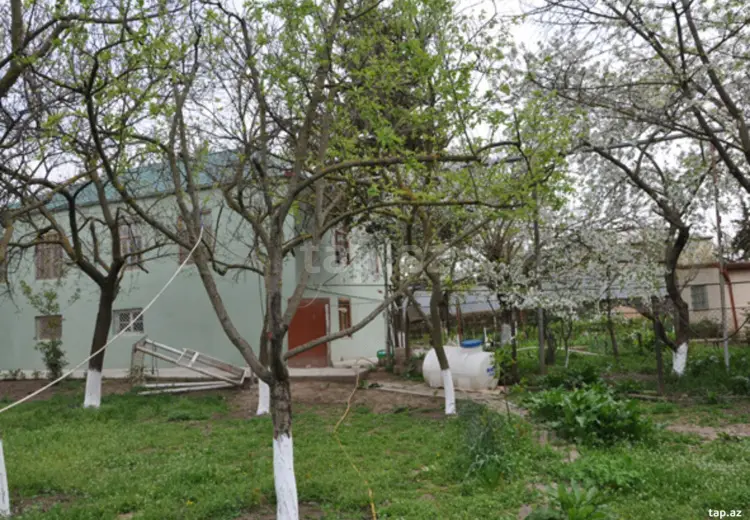 6 otaqlı mənzil , Şamaxı