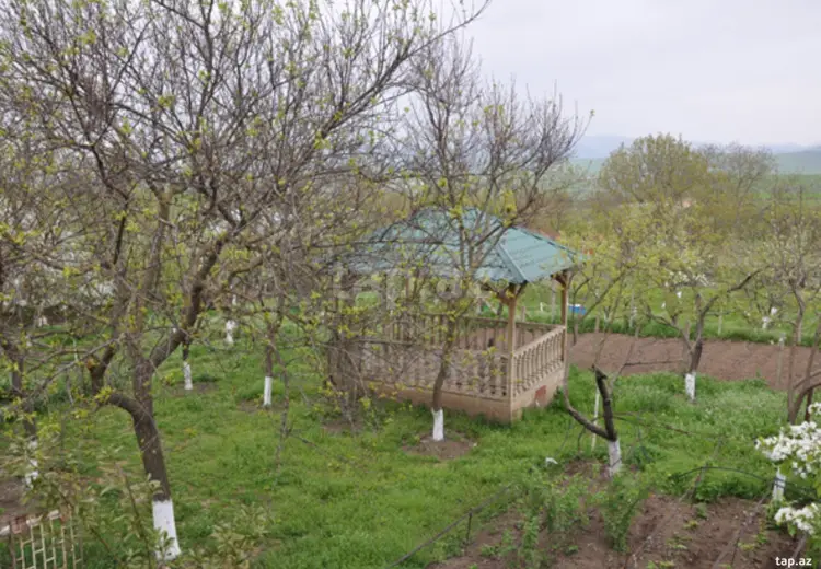 6 otaqlı mənzil , Şamaxı
