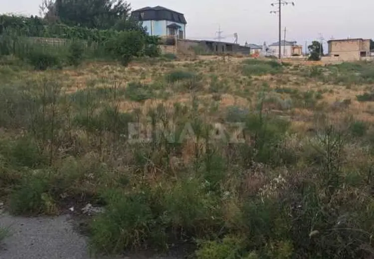 11 sot Torpaq Satılır, Saray, Abşeron