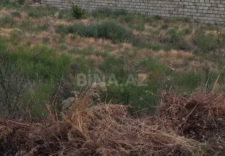 11 sot Torpaq Satılır, Saray, Abşeron