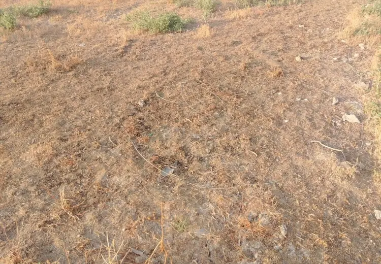 7 sot Torpaq Satılır, Fatmayı, Abşeron