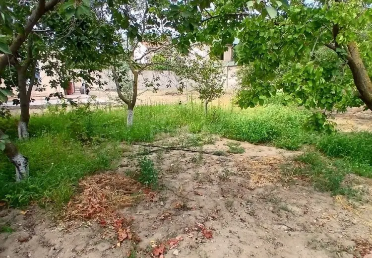 12 sot Torpaq Satılır, Novxanı, Abşeron